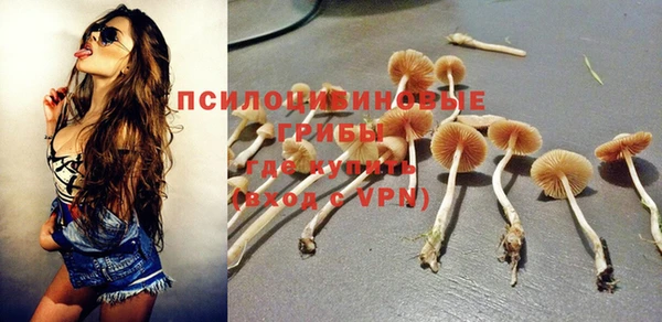 тгк Армянск