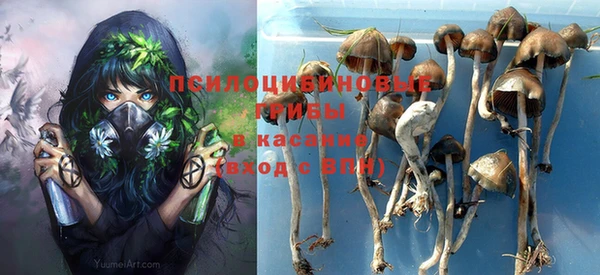 таблы Арсеньев