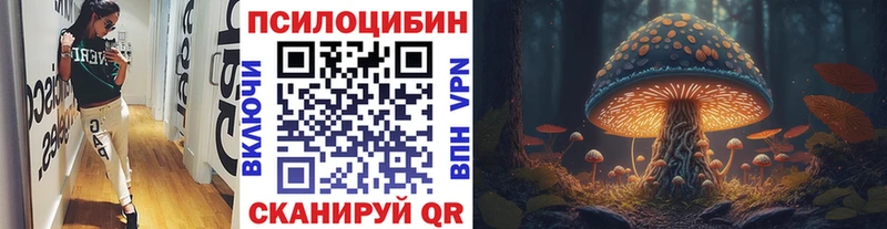 blacksprut ссылки  Лесной  Псилоцибиновые грибы MAGIC MUSHROOMS 